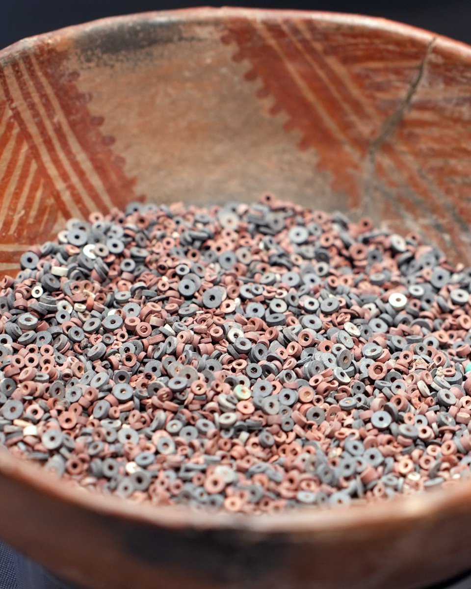 palatkwapi's tweet photo. The Romo Cache is 100,000 stone beads and 30 copper bells stored in a Tanque Verde Red on Brown jar and buried in the Santa Catalina Mountains in southern Arizona. In my recent YouTube video I explore this cache of ancient wealth and the people who put it there - https://t.co/NUs3S8GcTx
