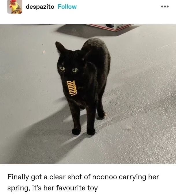 justasmolcat's tweet photo. https://t.co/b9l5uLVlSr