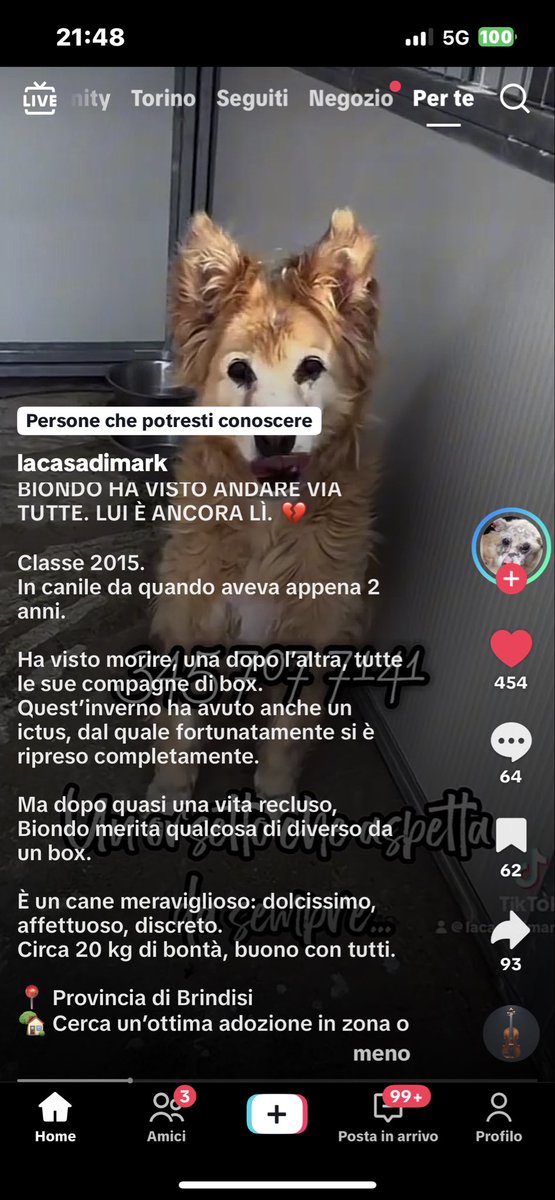 annamariamoscar's tweet photo. 🙏❤️❤️😢🙏❤️❤️😢🙏❤️❤️😢🙏 https://t.co/zF0Vj8lWQo