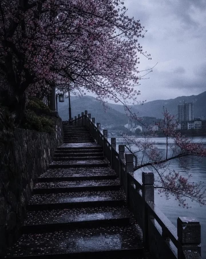 spooky_nature's tweet photo. rainy days in Kyoto Japan 🌸 https://t.co/y8lUbYsqON