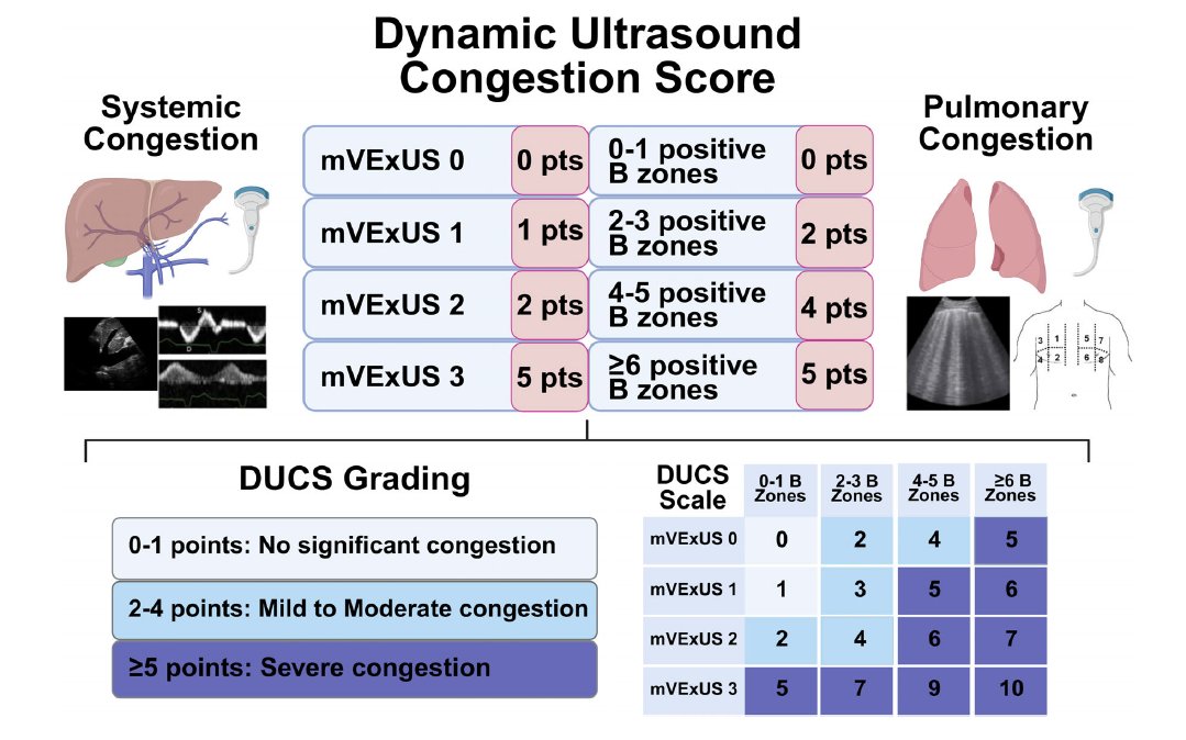 NephroP's tweet photo. New study‼️
A "dynamic" ultrasound congestion score incorporating modified #VExUS and lung #POCUS predicted in-hospital mortality, 30-day mortality and hospital readmission.
🔗J Ultrasound Med. 2026;45(8):1759-1771. doi: 10.1002/jum.70229. https://t.co/JcvNSnVNk7
