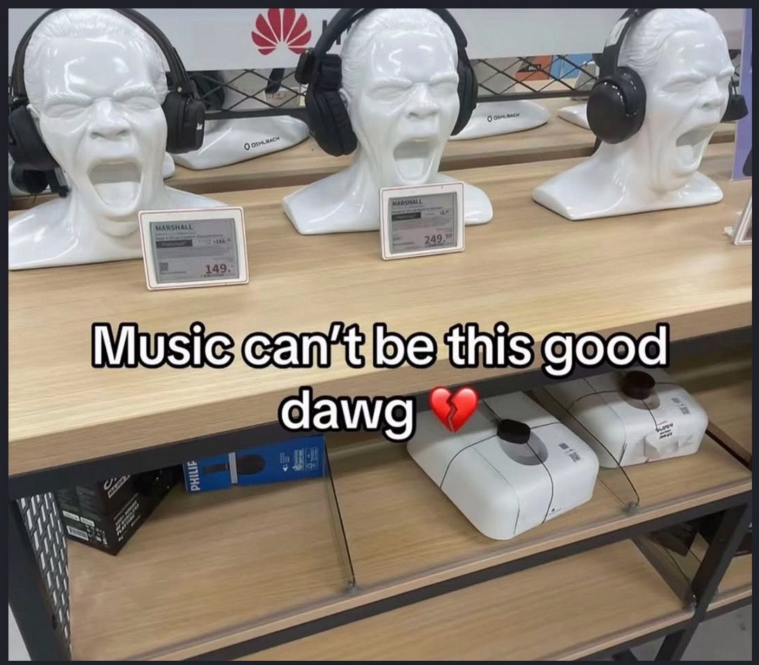 nocontextmemes's tweet photo. https://t.co/5pXpwN2NLp