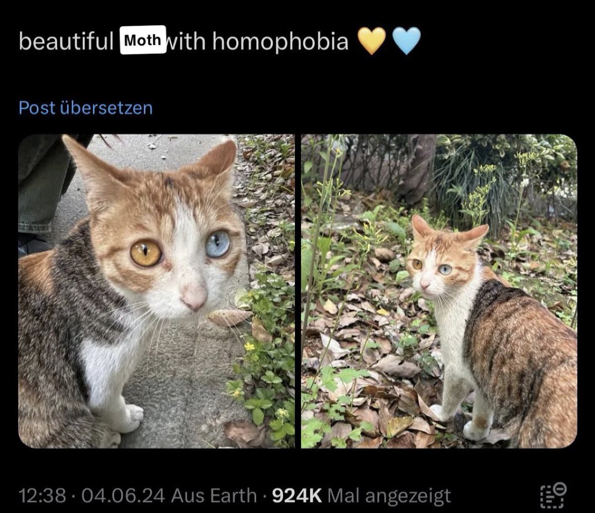 spookhettiii's tweet photo. @CedarMoth Cute!!! https://t.co/2XFQVHkhan