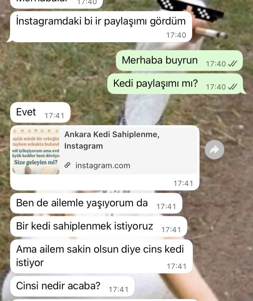 zbbeyzz's tweet photo. Yaşı küçük diye terslemek istemedim ama yapmayın bunu lütfen. Ölmek üzere hayvanları kurtarıp iyileştirip yuva arıyoruz. Bir canı daha yaşatmaya çalışıyoruz. Mağazada kazak seçer gibi gezinmeyin nolursunuz ya. O sizle ömrünü geçirecek bi canlı, süs oyuncağınız değil. https://t.co/wcKOend44x