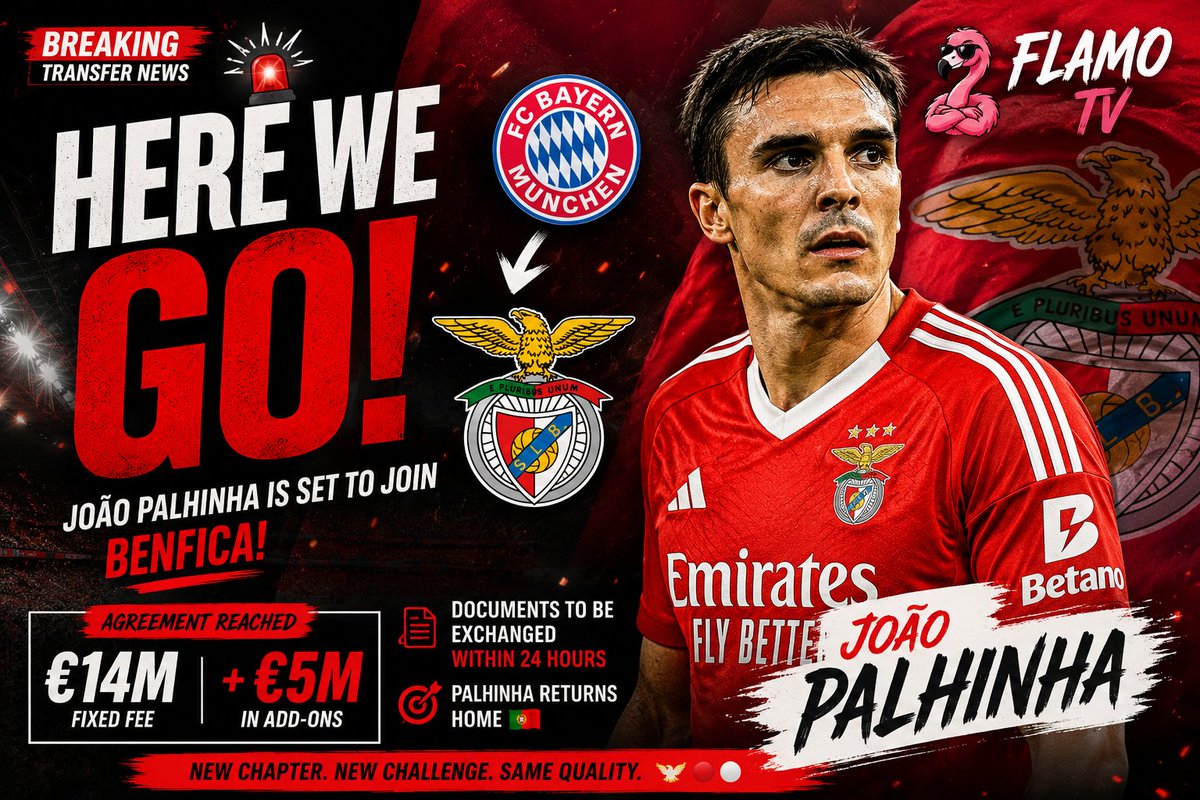 FlamoUniverse's tweet photo. 🚨🔴⚪️ HERE WE GO!

João Palhinha is heading back to Portugal 🇵🇹

Bayern Munich and Benfica have reached an agreement for the midfielder — €14M fixed + up to €5M in add-ons.

📄 Documents to be exchanged
🔴 Benfica
🇵🇹 Homecoming

FLAMO TV 🦩🔥

Big move or a bargain for Benfica?