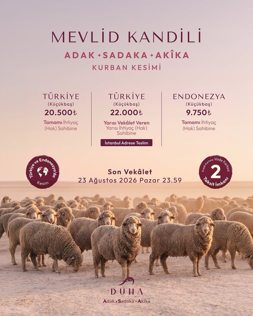 sevdenur's tweet photo. Mevlid kandilinde Efendimiz'e (sav) bir hediye https://t.co/ezttggwF8u