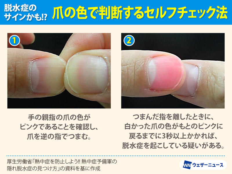 wni_jp tweet picture
