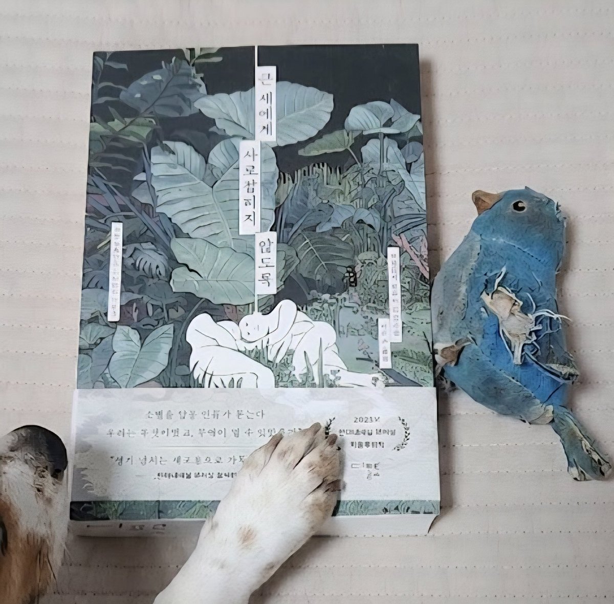 book_turtle_ tweet picture