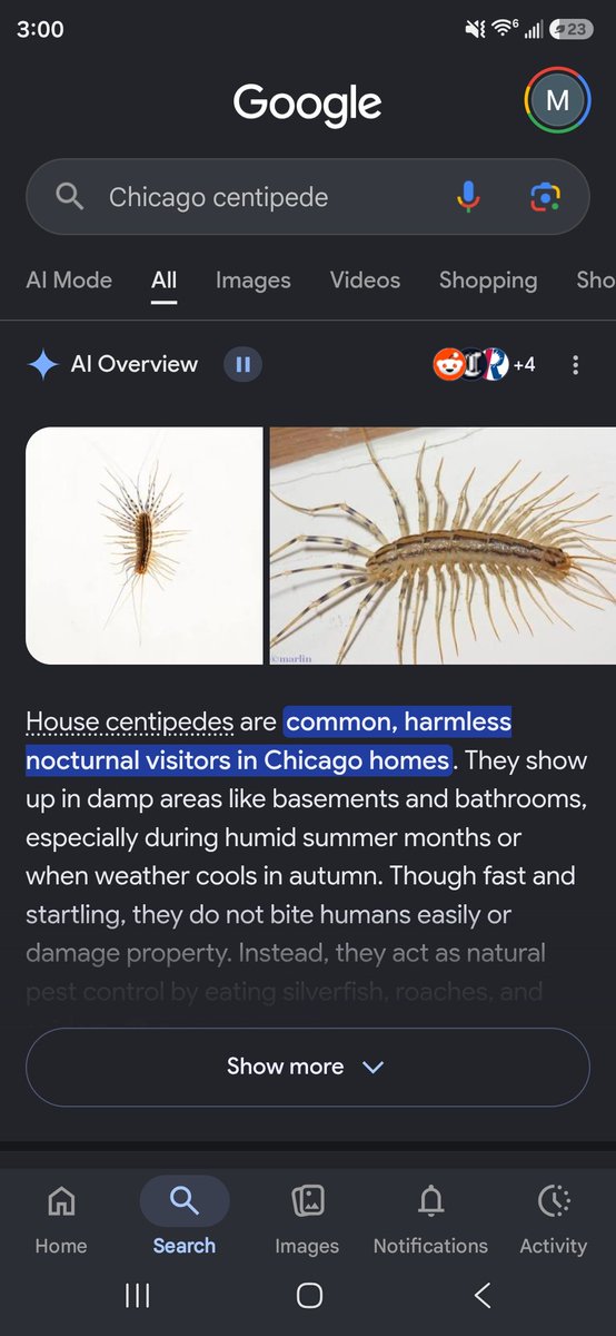 MaxpencZ's tweet photo. @coryunbroken Not a fan but that is a house centipede https://t.co/StJifyJJsZ