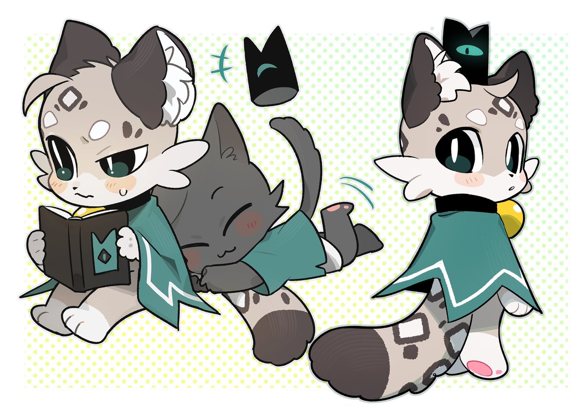 SerenDeLucki's tweet photo. ￼My Snow Leopard boy Nerés ❄️ https://t.co/NcIRnlSdor