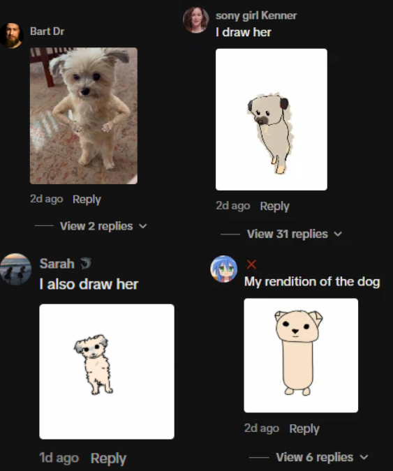 muthertuck's tweet photo. We have a new Jimothy type animal going giga viral
its this dog named noel that is missing his front legs
he is legit standing up all the time and the comments are filled with memes
https://t.co/PW9KESgDAo... https://t.co/JxdWsqaPuU