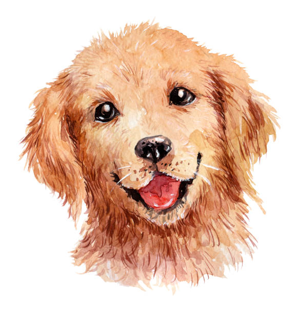 BenTiHoffmanNHi's tweet photo. 犬桜🌸🐕 https://t.co/3jhbZRteVJ