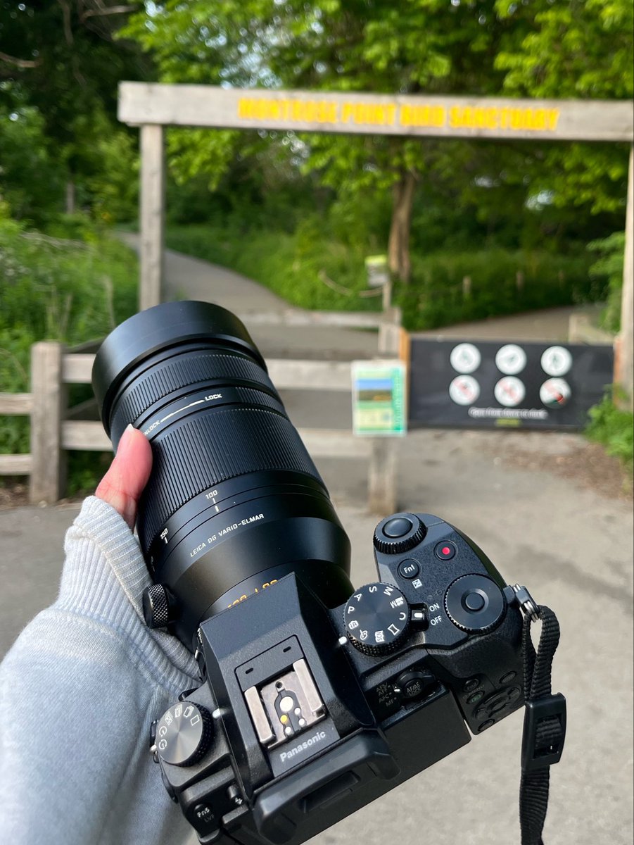 CountVolpe's tweet photo. My camera &amp; some photos i took with it https://t.co/Pyqpc7TJB7