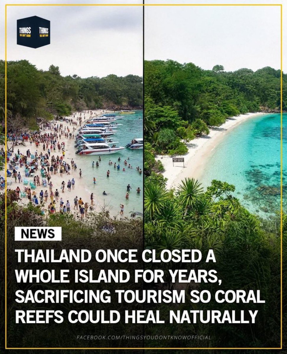 kirawontmiss's tweet photo. nature over money https://t.co/QjXqh3R6YC