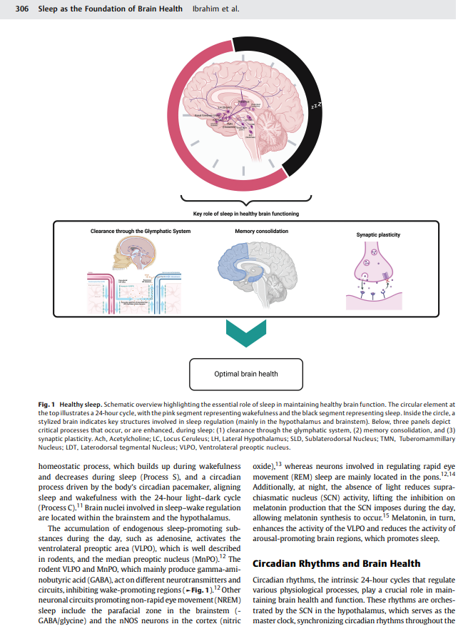 CuriousMindsHub's tweet photo. Sleep more.
Sleep more.
Sleep more.
Sleep more.
Because sleep is not wasted time.

A 2025 review explains that sleep supports memory consolidation, synaptic plasticity, and the brain’s waste-clearance system. https://t.co/TTRkZm2LYV