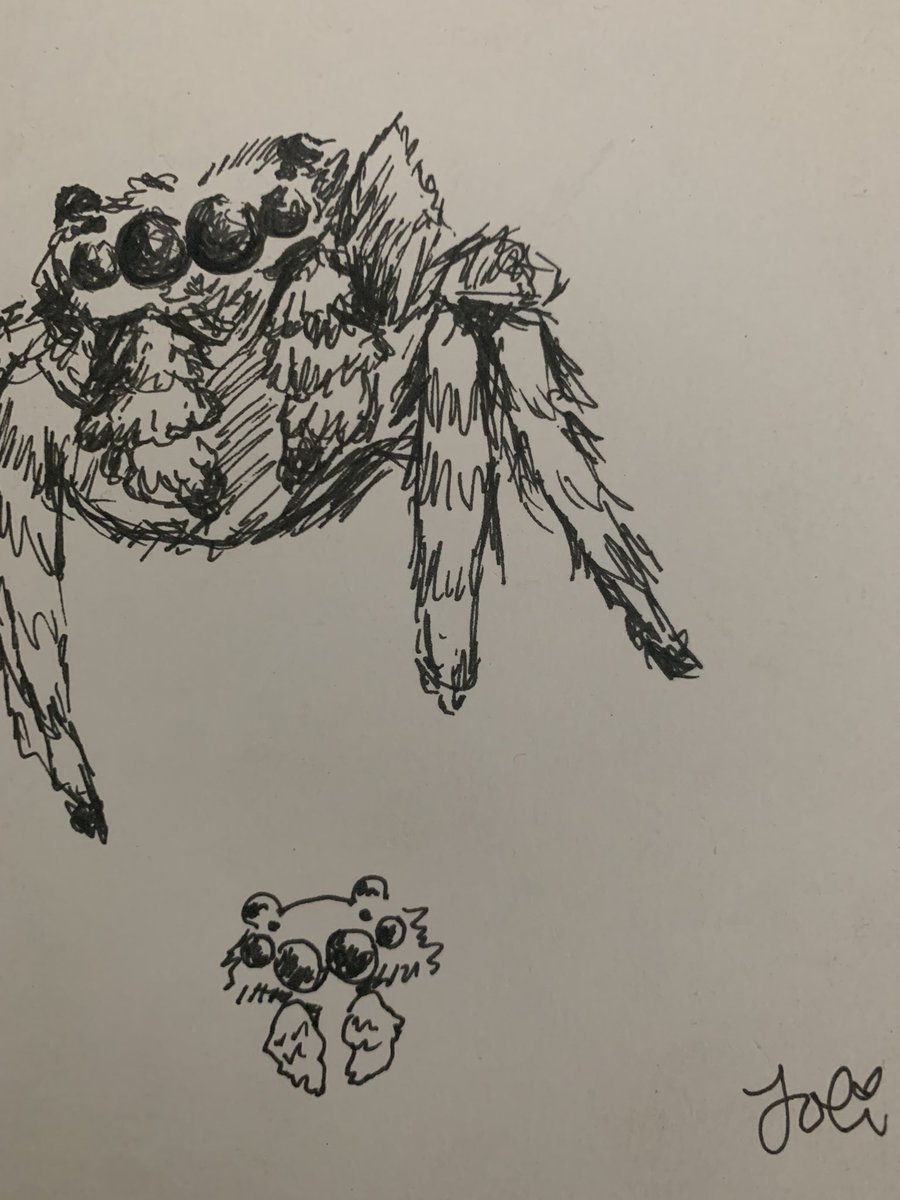 lovesgardener's tweet photo. bug doodles i drew at work to get my mind off some thingz https://t.co/6dKOuybbHK