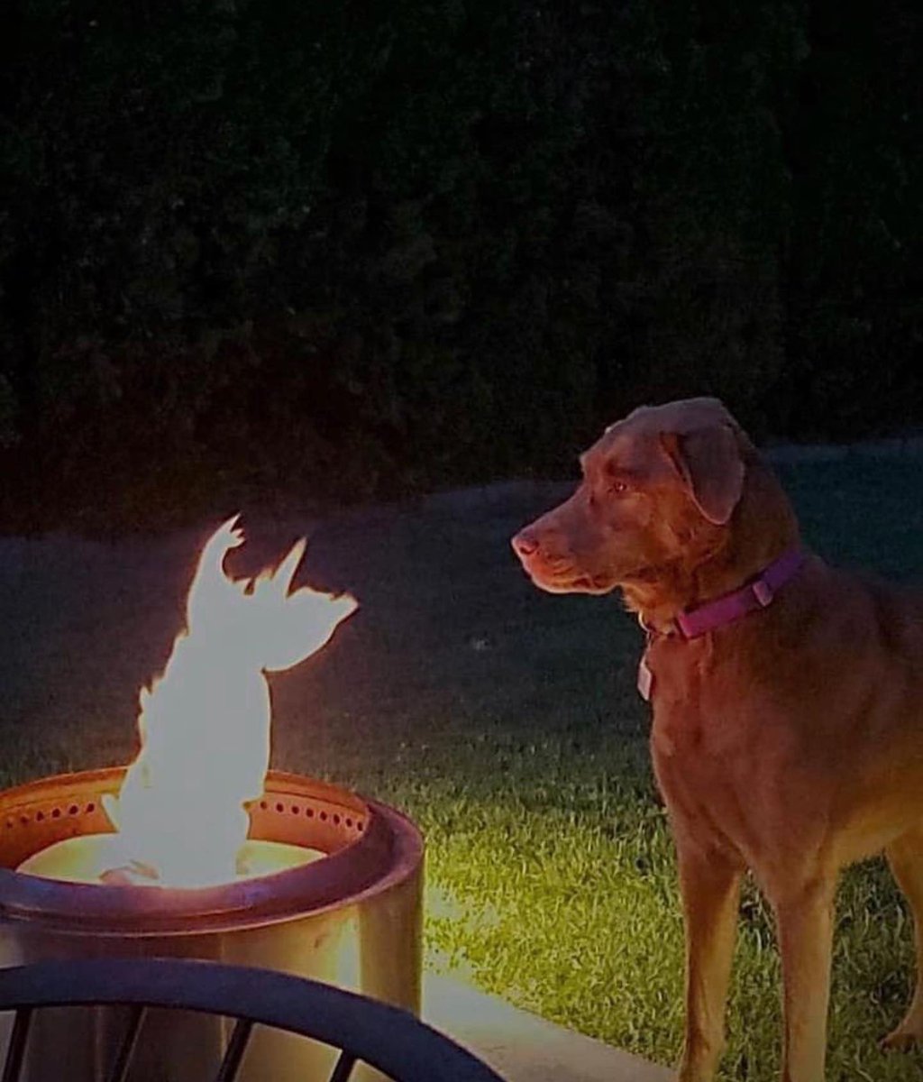 countlips's tweet photo. please never let my titles give you any indication as to what's in the fic i promise the writing is better than whatever dog shit i use as a title dont judge a book by its cover type shift https://t.co/eGf1OQrVIm