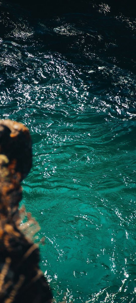 petalesblancs's tweet photo. blue by sea https://t.co/ewUPfk6uSO