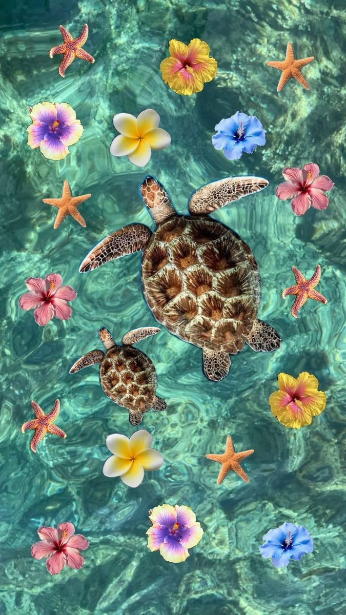petalesblancs's tweet photo. The Peaceful Underwater World https://t.co/13hIpiPlBD