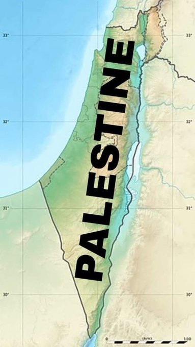 PalestineCultu1's tweet photo. Free Palestine✌️ https://t.co/qnSUBnsNHh
