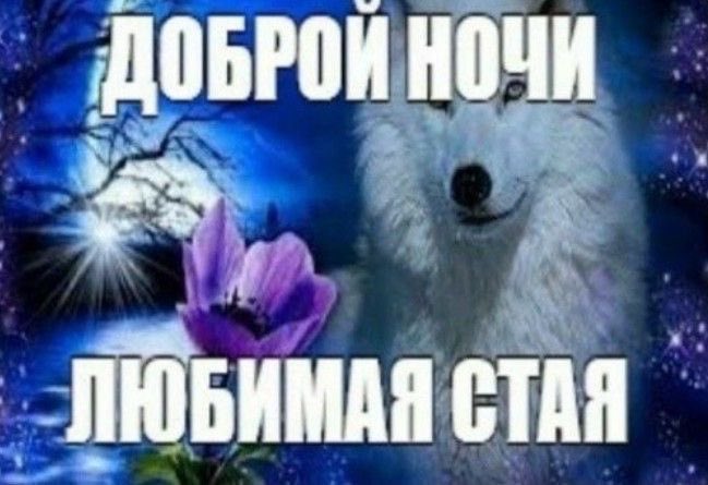 wertiwax's tweet photo. на сегодня хватит тви https://t.co/IAIgImO5sj