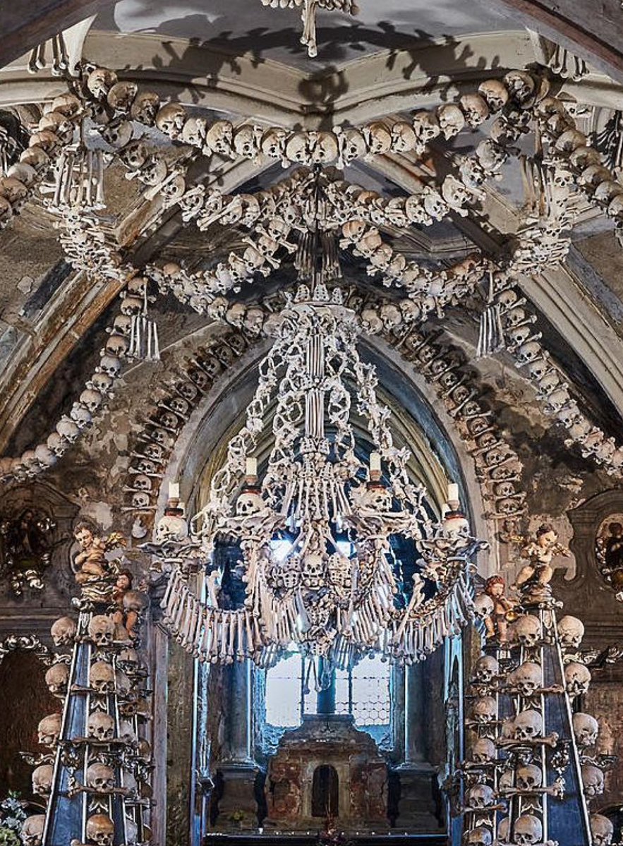 hardflics's tweet photo. I love bone churches https://t.co/nNAFSy0GGF