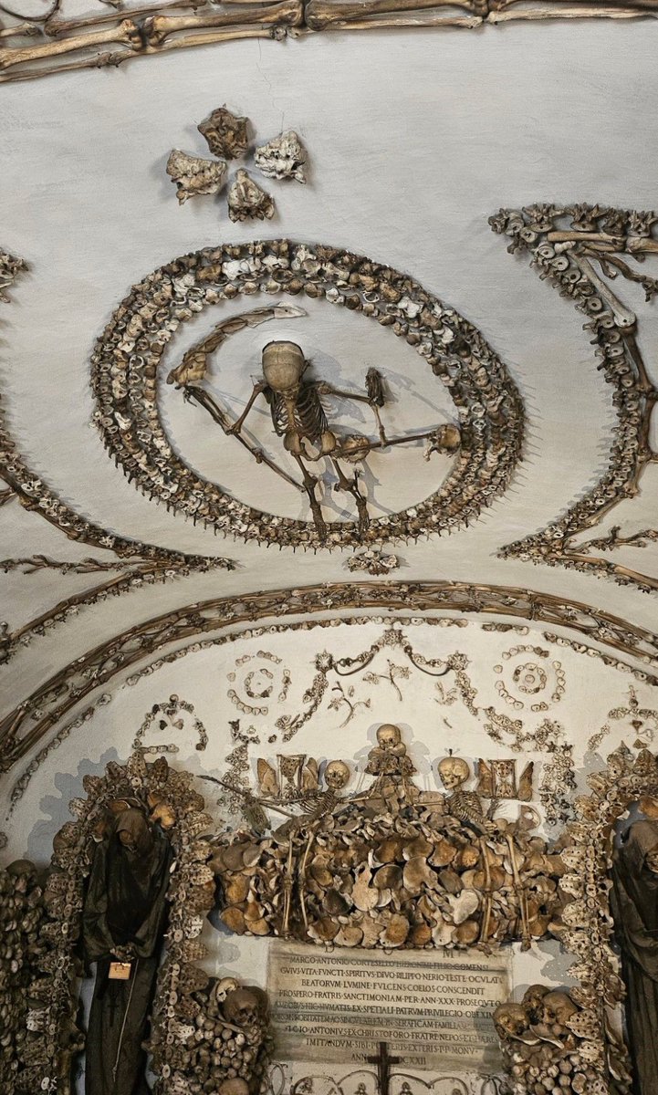 hardflics's tweet photo. I love bone churches https://t.co/nNAFSy0GGF