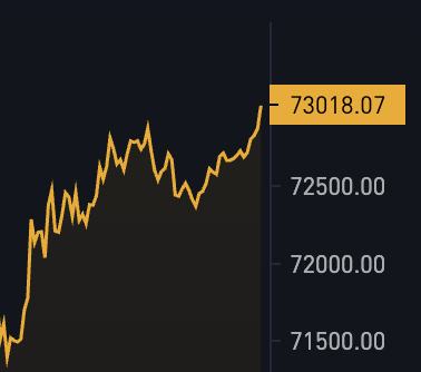 BitcoinMagazine's tweet photo. JUST IN: Bitcoin pumps to $73,018 🚀 https://t.co/ihbu1DDUhN