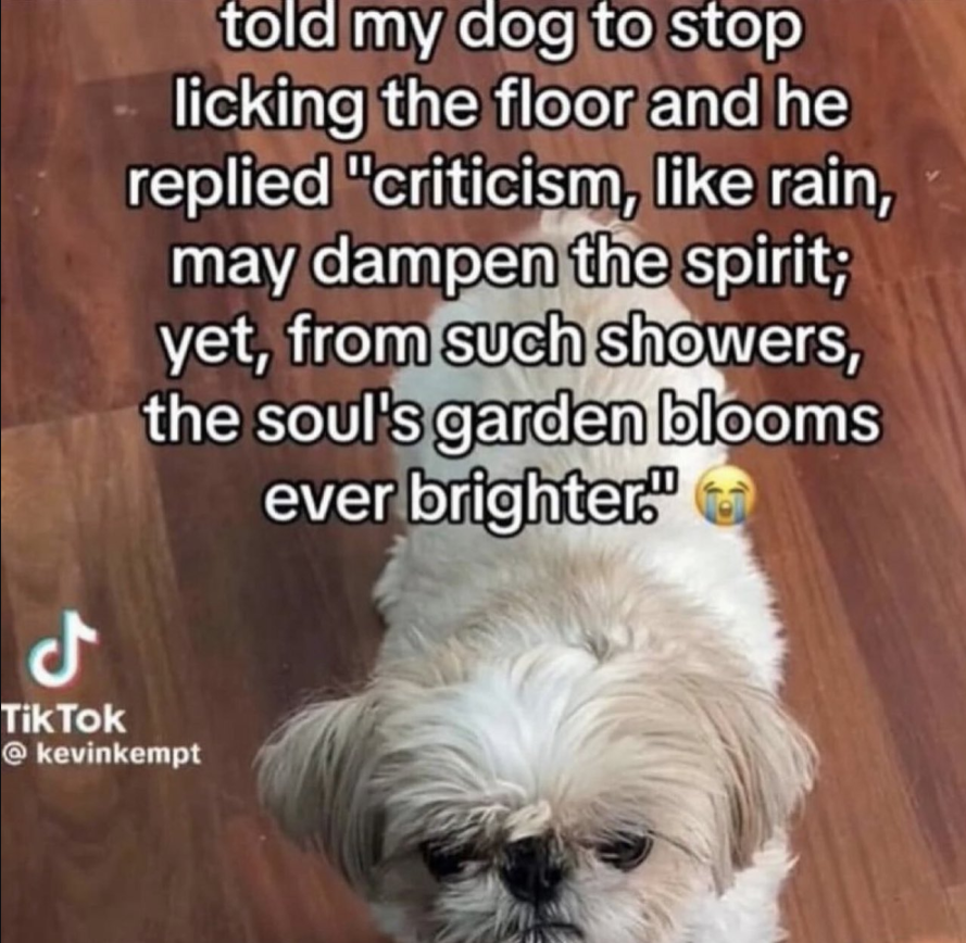 APLikesLua's tweet photo. The absolute most widespread tragedy of all time (in my opinion) is the short form content calamity.
Immeasurable amounts of lost potential.
If you don't pay attention to your garden it will overflow with weeds. (Your mind) https://t.co/JSztsf2U4l