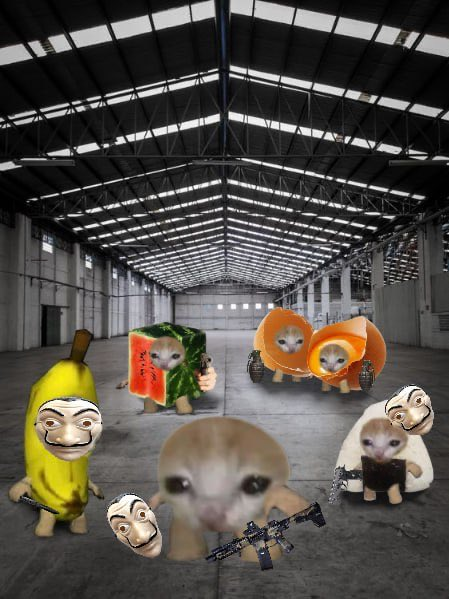 mini_meme_pf's tweet photo. https://t.co/VxJxtZq2at