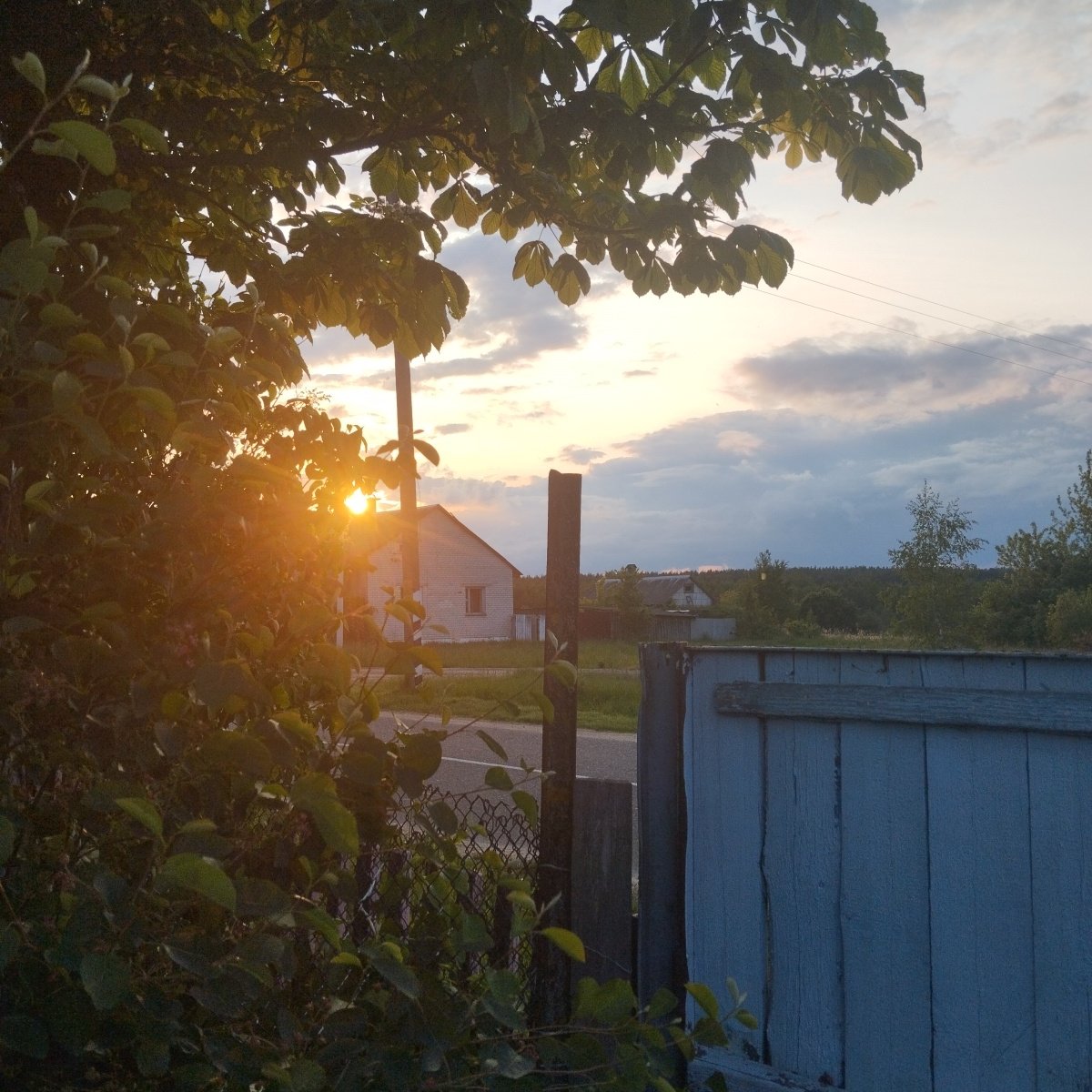 wikkatsu's tweet photo. 🌅 https://t.co/GAAkkQkXw1
