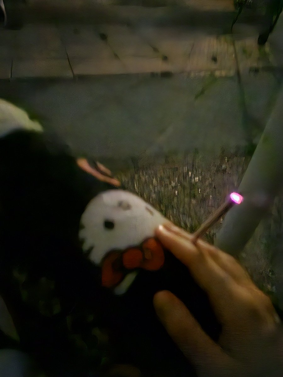 drunkonmitski_'s tweet photo. vibes r vibing music is musicing weed is weeding life is good https://t.co/acF3NL9fTG