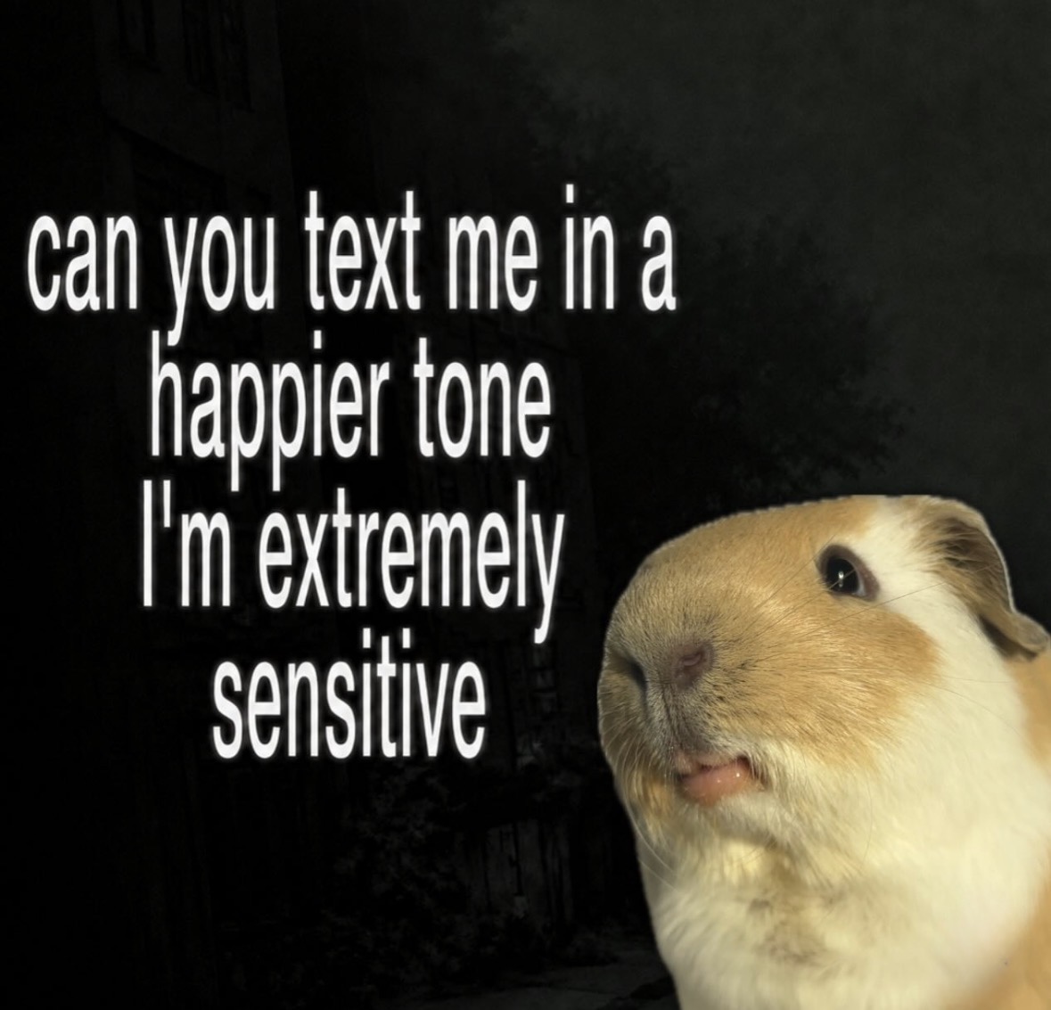 raccoonesthetic's tweet photo. https://t.co/y3KqQI11Tu