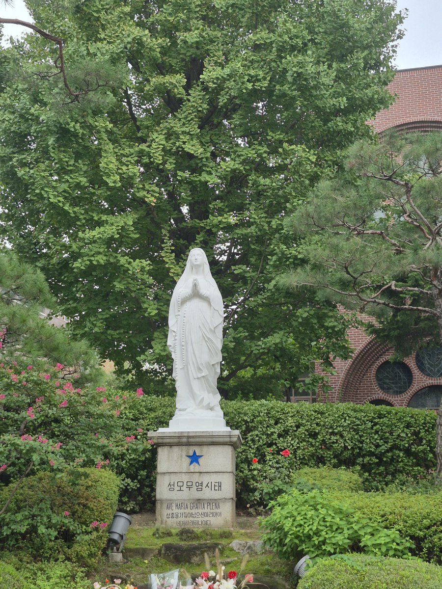 HaEokJ's tweet photo. @Pontifex_es #희망이없어도희망하며(로마4.18)
깊고 어두운 계곡 낭떠러지에 홀로서 있는 사람이 있습니다. 이사람이하고 싶어하는 말은 "도와줘." 일 겁니다. 거의 들리지않는 작은목소리로 예수님이 응답해 주십니다. 내가 너와 함께 있다. 이 말씀으로 새로운 삶이 시작됩니다.

333번 SeoulKorea #성모무염시태 https://t.co/TOEAXA9LoV