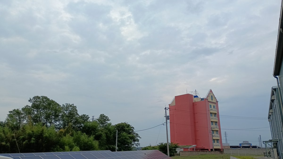 Techniques_Sus's tweet photo. おはようござます😃
本日の埼玉県本庄市の天気は曇り☁️

ここ最近鼻がムズムズ💧
くしゃみも出ます🤧

季節は8月の下旬に差し掛かり…

来たか
ぶた草🐷🌱
始まったか
秋の花粉症😷

今や実りなき駐車場畑🌱🌱🌱
ぶた草🐷🌱も生えてそうで
近寄りたくないゾイ🙆‍♀️
＃企業公式が毎朝地元の天気を言い合う https://t.co/HDwvMjDGTk
