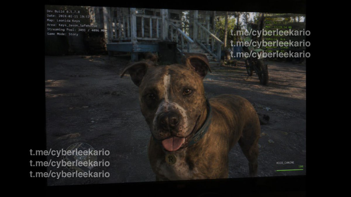 Tud0sobreGames's tweet photo. 🚨 NOVAS IMAGENS DE UM POSSÍVEL CACHORRO EM GTA 6! 🐶🎮
As imagens começaram a circular, mas muitos estão questionando a autenticidade. Seria realmente GTA 6 ou mais um fake? 👀

#GTA6 #GTAVI #RockstarGames #Gaming #Leak https://t.co/XLOyyMzSNn