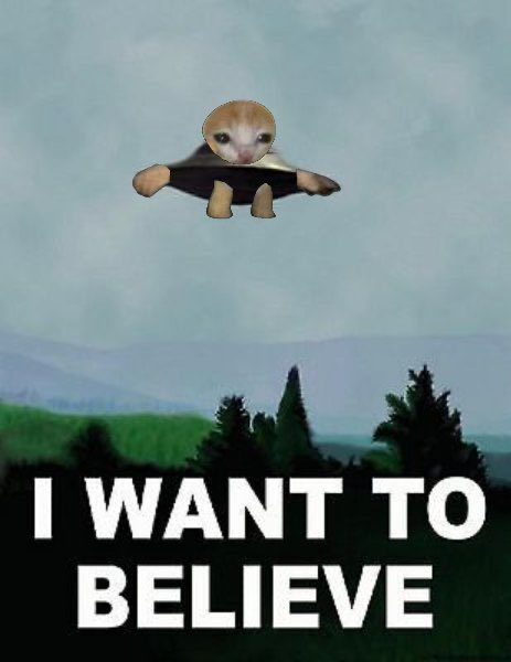 mini_meme_pf's tweet photo. https://t.co/z6nTcGb6cu