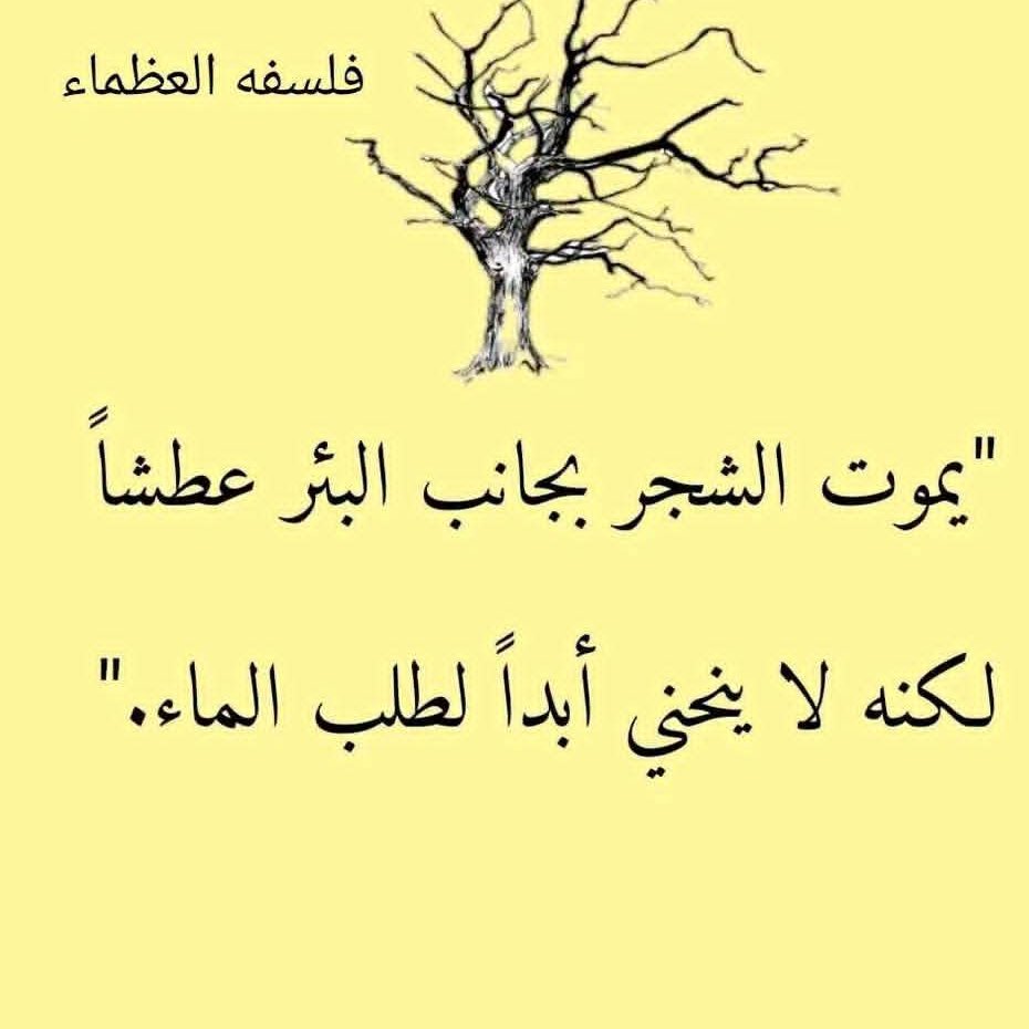 sharhan_eng's tweet photo. https://t.co/T3oslChCzW