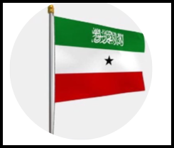 NaomiLitvin's tweet photo. 🎩@mudane332 Somaliland flag https://t.co/zskQRe3xdT