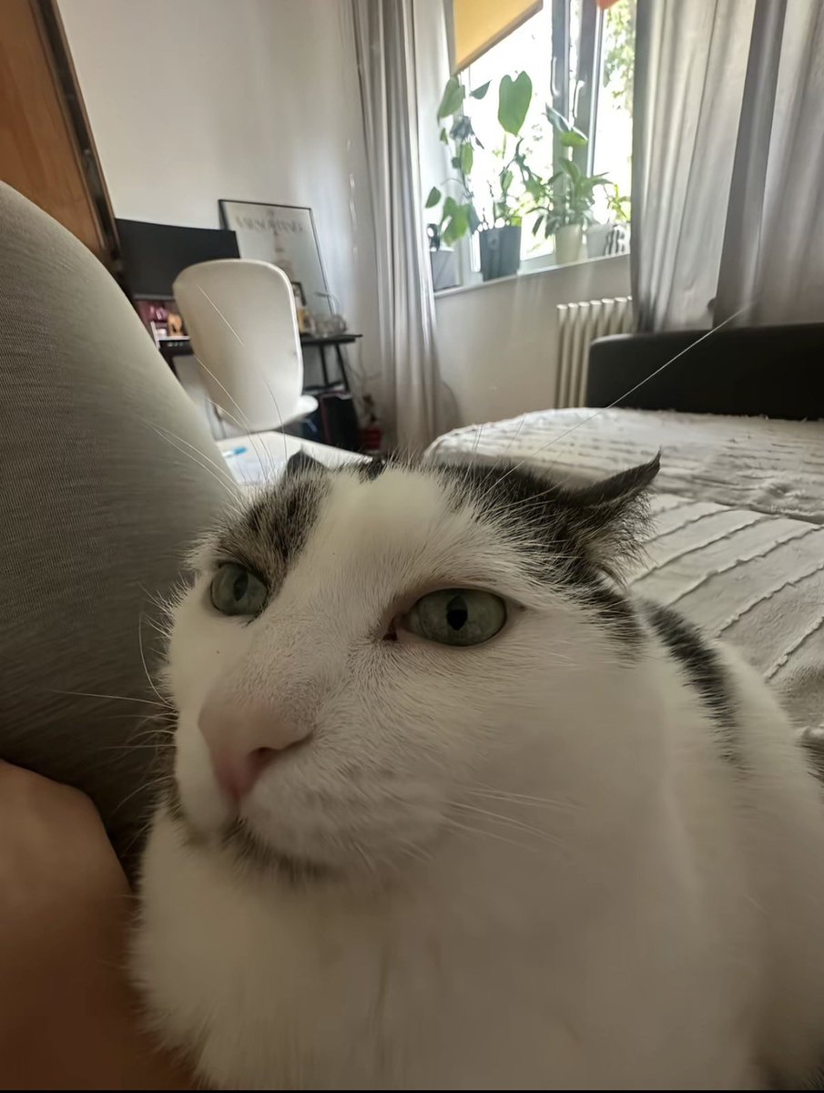 evilyurifan's tweet photo. when i’m stoned and horny but trying to be nonchalant about it https://t.co/vXyOW0n3jP