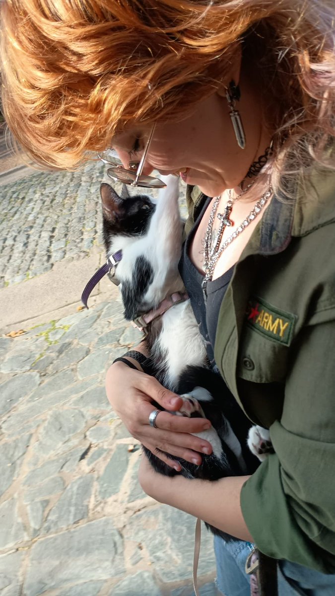 kunoichi_http's tweet photo. cómo amo caminar con el bebé gordo de minigun https://t.co/qTjzAa8rAV