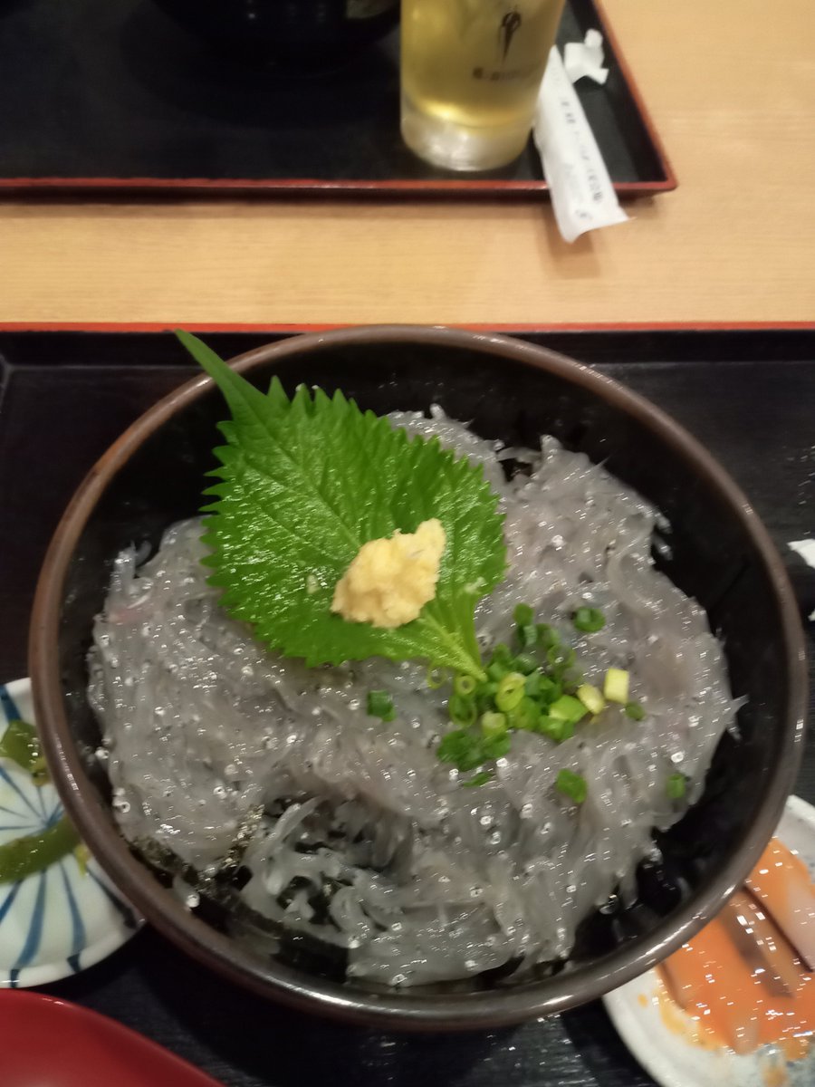 taptarpracticew's tweet photo. 👧と２０歳記念の親娘弾丸旅行〜♪♫
銀座で歌舞伎観劇からの湘南江ノ島🌊夜のイベントがサイコーにキレイでした✨生しらす丼も絶品🤤 https://t.co/oGum6x3kG9