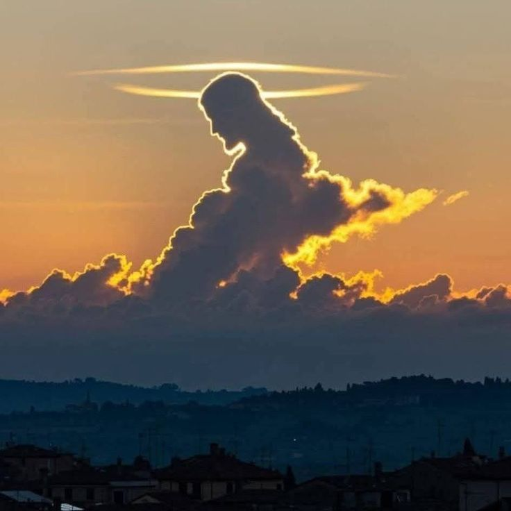 trad_west_'s tweet photo. Christ is King! https://t.co/PwWIyUO0G5