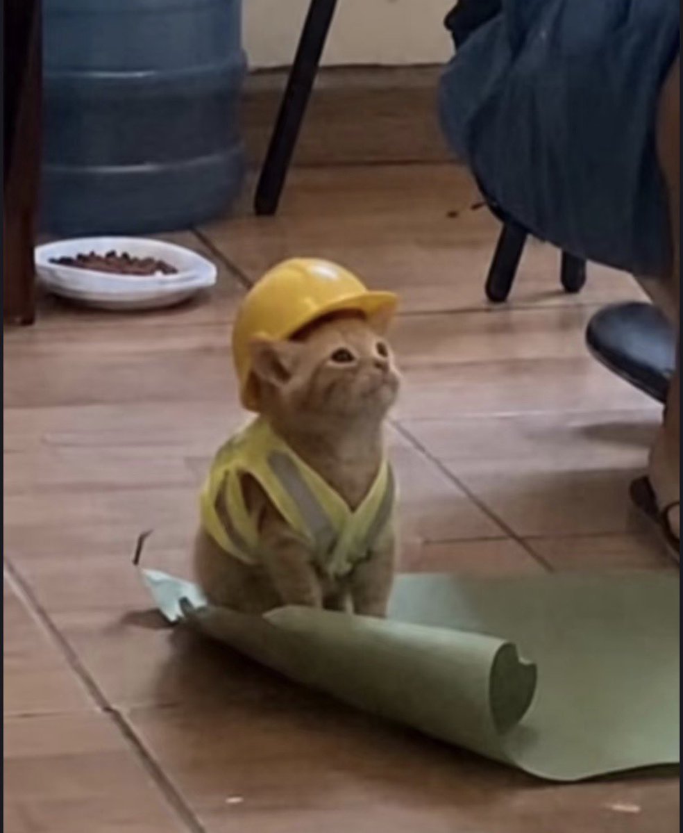 twaniimals's tweet photo. https://t.co/XEzOpeKs1b