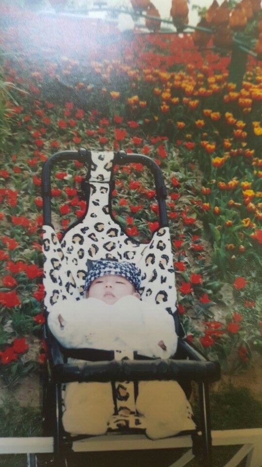vminpinkie's tweet photo. he didn’t choose the leopard lifestyle the leopard lifestyle chose him https://t.co/4hrjXCGM27