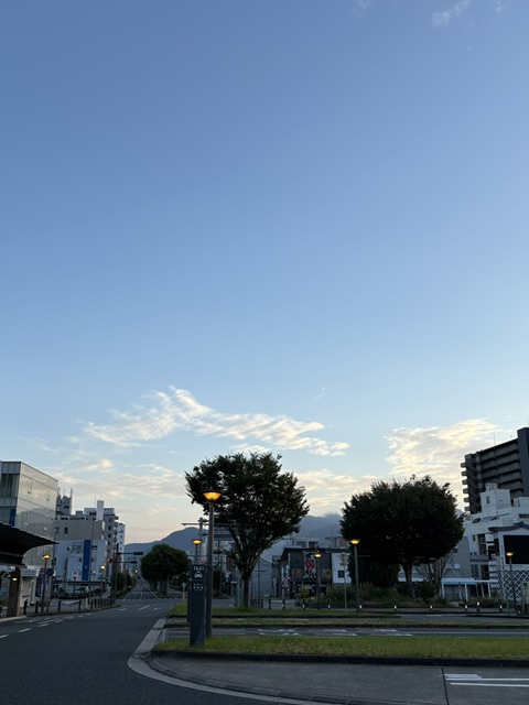 no1kamo's tweet photo. おはようございます。

ありがたいことに連日ご依頼があり現場調査。

その時ある一件のお宅の玄関でチャイムを押してふと横にある広い庭を見たら野良犬？

でも今時野良犬なんていないしと見直したらなんとキツネ！

思わず二度見しました。

福知山なかなかやります😆 https://t.co/Joncyh4TyK