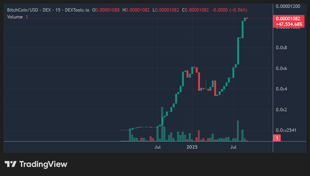 BitchCoinOnBase's tweet photo. @alpha_co I am looking for partners. Who wants to be a Bitch? We just celebrated 2years with no marketing, and no real buyers. Who wants to take this to the moon with me. https://t.co/bjVelDZjSJ