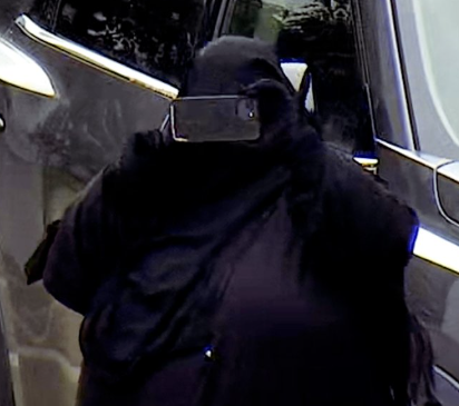 libsoftiktok's tweet photo. DOJ released images showing alleged Islamic terrorist Jessica Bowie, who pledged her allegiance to ISIS, buying components to make a bomb and performing reconnaissance at the NY State Capitol.

And they call it the "religion of peace" https://t.co/DhPYxePgKA