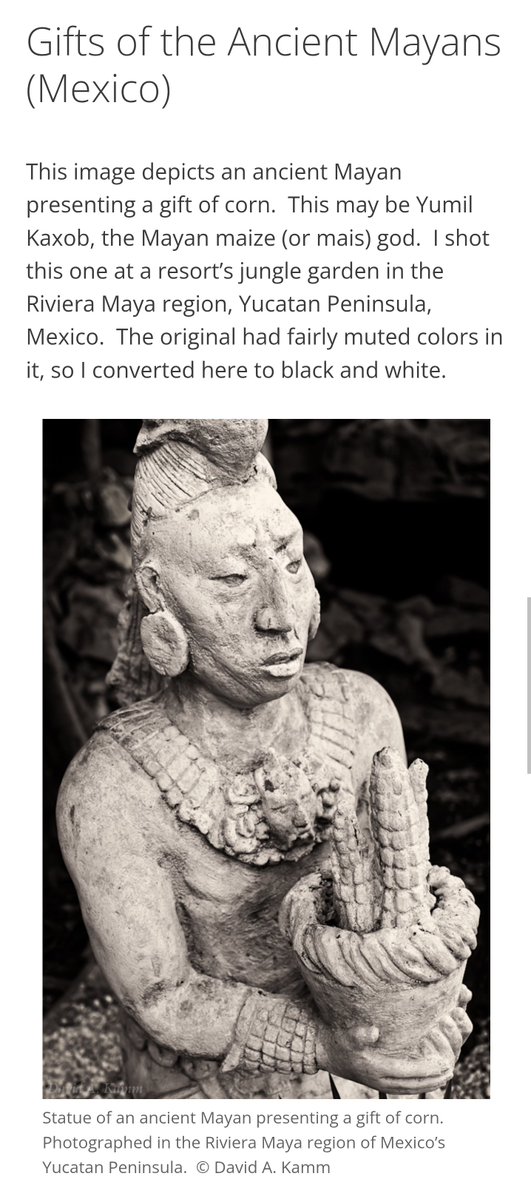 Lycaones's tweet photo. La fotografía fue capturada por David A. Kamm y publicada en su sitio web oficial, David Kamm Photoworks.

Contrario a lo que se comparte en redes sociales, no se trata de una pieza arqueológica real descubierta en una excavación o resguardada en un museo. El propio fotógrafo aclara que tomó la foto en el jardín selvático de un hotel/resort en la región de la Riviera Maya, en la Península de Yucatán, México. Es una pieza ornamental moderna hecha para el turismo.