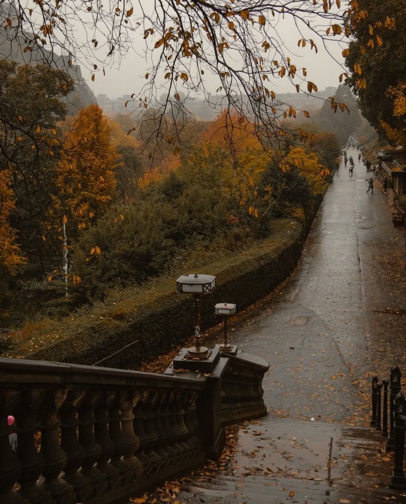 spooky_nature's tweet photo. Edinburgh after autumn rain https://t.co/lySuQwIEVp